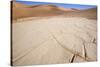 Namib Desert, Namibia, Africa-Thorsten Milse-Stretched Canvas