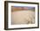 Namib Desert, Namibia, Africa-Thorsten Milse-Framed Photographic Print