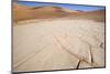 Namib Desert, Namibia, Africa-Thorsten Milse-Mounted Photographic Print