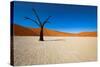 Namib Desert, Sossusvlei, Namibia-DR_Flash-Stretched Canvas