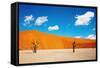 Namib Desert, Sossusvlei, Namibia-DmitryP-Framed Stretched Canvas