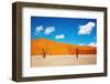 Namib Desert, Sossusvlei, Namibia-DmitryP-Framed Premium Photographic Print