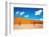 Namib Desert, Sossusvlei, Namibia-DmitryP-Framed Premium Photographic Print