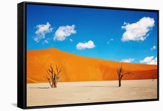 Namib Desert, Sossusvlei, Namibia-DmitryP-Framed Stretched Canvas