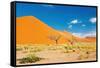 Namib Desert, Sossusvlei, Namibia-DmitryP-Framed Stretched Canvas