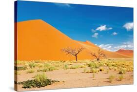 Namib Desert, Sossusvlei, Namibia-DmitryP-Stretched Canvas