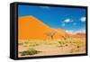 Namib Desert, Sossusvlei, Namibia-DmitryP-Framed Stretched Canvas