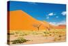 Namib Desert, Sossusvlei, Namibia-DmitryP-Stretched Canvas