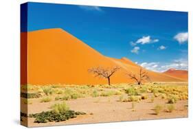 Namib Desert, Sossusvlei, Namibia-DmitryP-Stretched Canvas
