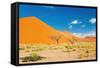 Namib Desert, Sossusvlei, Namibia-DmitryP-Framed Stretched Canvas