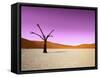 Namib Desert, Sossusvlei, Namibia-DR_Flash-Framed Stretched Canvas