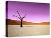 Namib Desert, Sossusvlei, Namibia-DR_Flash-Stretched Canvas