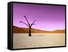 Namib Desert, Sossusvlei, Namibia-DR_Flash-Framed Stretched Canvas