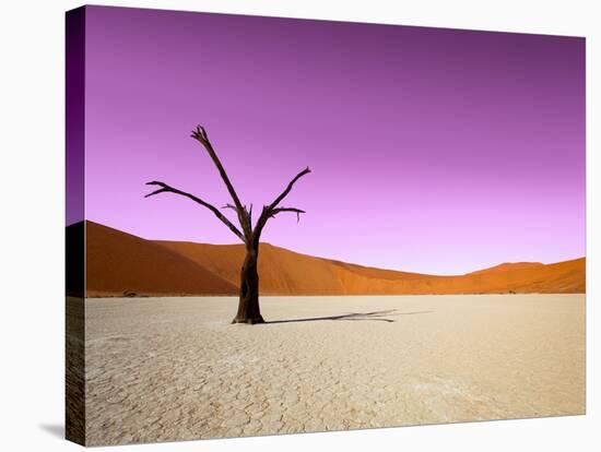 Namib Desert, Sossusvlei, Namibia-DR_Flash-Stretched Canvas