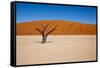 Namib Desert, Sossusvlei, Namibia-DR_Flash-Framed Stretched Canvas