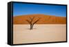 Namib Desert, Sossusvlei, Namibia-DR_Flash-Framed Stretched Canvas