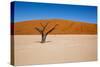 Namib Desert, Sossusvlei, Namibia-DR_Flash-Stretched Canvas