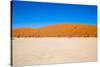 Namib Desert, Sossusvlei, Namibia-DR_Flash-Stretched Canvas