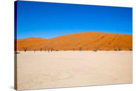 Namib Desert, Sossusvlei, Namibia-DR_Flash-Stretched Canvas