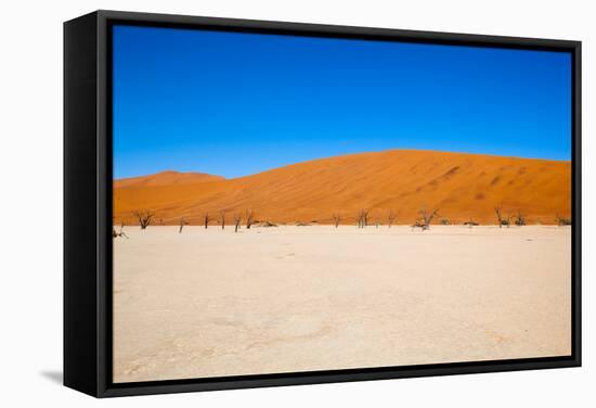 Namib Desert, Sossusvlei, Namibia-DR_Flash-Framed Stretched Canvas