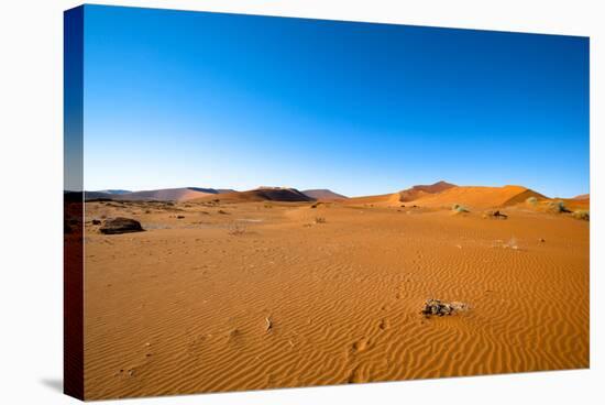 Namib Desert, Sossusvlei, Namibia-DR_Flash-Stretched Canvas