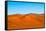 Namib Desert, Sossusvlei, Namibia-DR_Flash-Framed Stretched Canvas