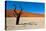 Namib Desert, Sossusvlei, Namibia-DR_Flash-Stretched Canvas