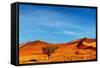 Namib Desert, Sossusvlei, Namibia-DmitryP-Framed Stretched Canvas