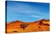 Namib Desert, Sossusvlei, Namibia-DmitryP-Stretched Canvas