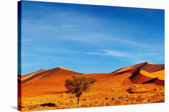 Namib Desert, Sossusvlei, Namibia-DmitryP-Stretched Canvas