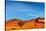 Namib Desert, Sossusvlei, Namibia-DmitryP-Stretched Canvas