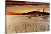 Namib Desert, Sossusvlei, Namibia-DmitryP-Stretched Canvas