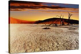 Namib Desert, Sossusvlei, Namibia-DmitryP-Stretched Canvas