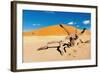 Namib Desert, Sossusvlei, Namibia-DmitryP-Framed Photographic Print