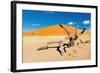 Namib Desert, Sossusvlei, Namibia-DmitryP-Framed Photographic Print