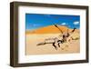 Namib Desert, Sossusvlei, Namibia-DmitryP-Framed Photographic Print