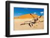 Namib Desert, Sossusvlei, Namibia-DmitryP-Framed Photographic Print