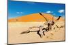 Namib Desert, Sossusvlei, Namibia-DmitryP-Mounted Photographic Print