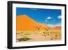 Namib Desert, Sossusvlei, Namibia-DmitryP-Framed Photographic Print