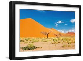 Namib Desert, Sossusvlei, Namibia-DmitryP-Framed Photographic Print