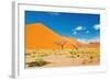 Namib Desert, Sossusvlei, Namibia-DmitryP-Framed Photographic Print