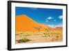 Namib Desert, Sossusvlei, Namibia-DmitryP-Framed Photographic Print