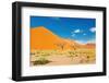 Namib Desert, Sossusvlei, Namibia-DmitryP-Framed Photographic Print