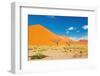 Namib Desert, Sossusvlei, Namibia-DmitryP-Framed Photographic Print