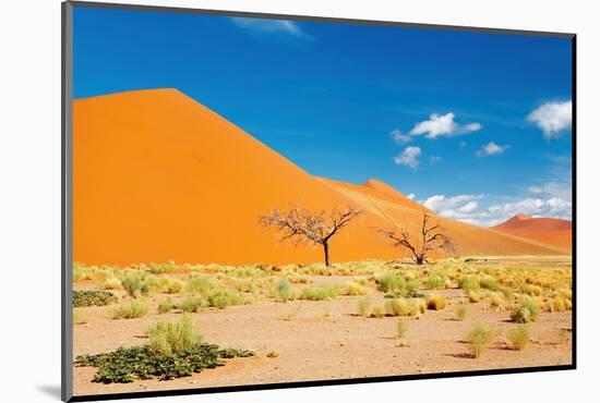 Namib Desert, Sossusvlei, Namibia-DmitryP-Mounted Photographic Print