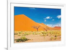 Namib Desert, Sossusvlei, Namibia-DmitryP-Framed Photographic Print