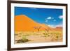 Namib Desert, Sossusvlei, Namibia-DmitryP-Framed Photographic Print