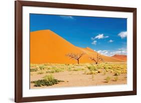 Namib Desert, Sossusvlei, Namibia-DmitryP-Framed Photographic Print