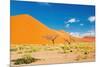 Namib Desert, Sossusvlei, Namibia-DmitryP-Mounted Photographic Print