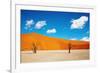 Namib Desert, Sossusvlei, Namibia-DmitryP-Framed Photographic Print